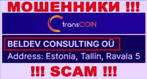 TransCoin - юридическое лицо махинаторов контора BELDEV CONSULTING OÜ