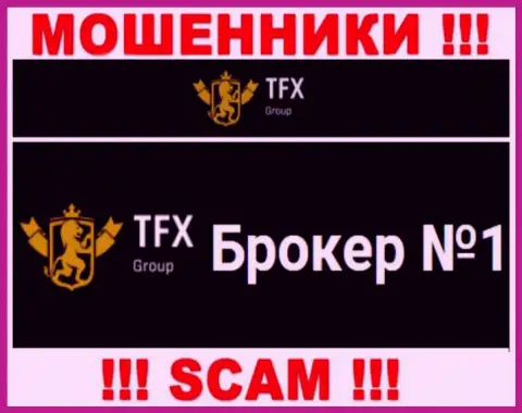 Не нужно доверять финансовые вложения TFX-Group Com, потому что их направление деятельности, FOREX, капкан
