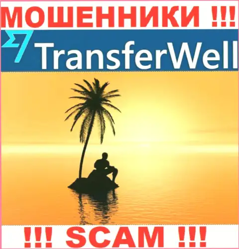 Юрисдикция TransferWell скрыта, в связи с чем перед перечислением средств надо подумать сто раз