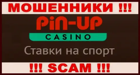 Основная работа Pin Up Casino - это Казино, будьте крайне внимательны, прокручивают делишки неправомерно
