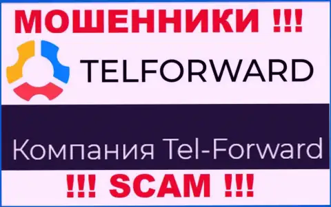 Юридическое лицо Tel Forward - это Tel-Forward, именно такую инфу расположили мошенники у себя на ресурсе