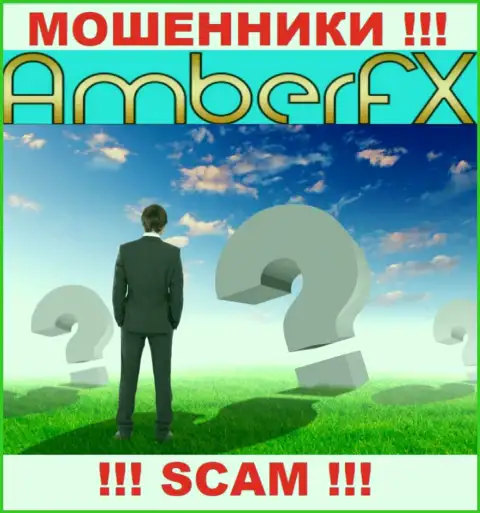 Хотите выяснить, кто управляет организацией Amber FX ??? Не получится, данной инфы нет
