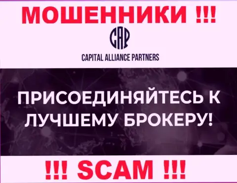 Род деятельности internet-разводил Capital Alliance Partners - это Брокер, но имейте ввиду это надувательство !