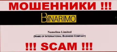 Юр лицом Бинаримо считается - Namelina Limited