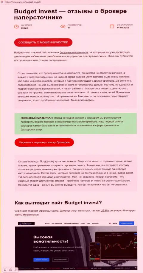 BudgetInvest Org - ЖУЛИКИ !!!  - чистая правда в обзоре конторы