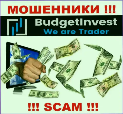 Абсолютно все обещания менеджеров из BudgetInvest Org всего лишь пустые слова - это МОШЕННИКИ !!!