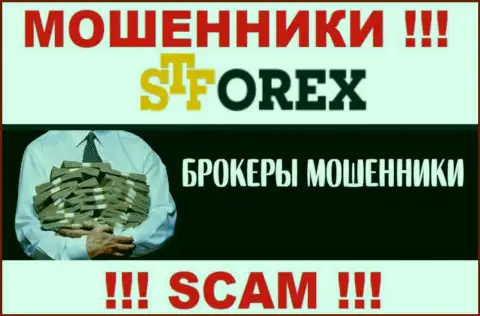 Шулера STForex Ltd только лишь пудрят мозги биржевым игрокам, обещая нереальную прибыль