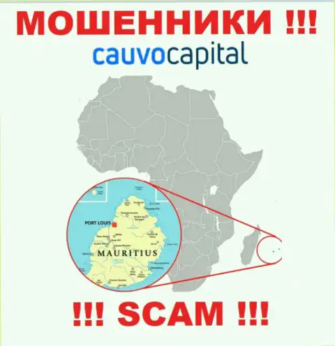 Компания CauvoCapital присваивает финансовые активы людей, зарегистрировавшись в офшоре - Mauritius