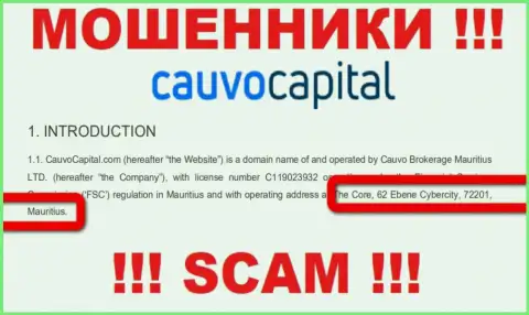 Нереально забрать денежные активы у организации КаувоКапитал Ком - они засели в оффшоре по адресу Коре, 62 Эбене Киберсити, 72201, Маврикий