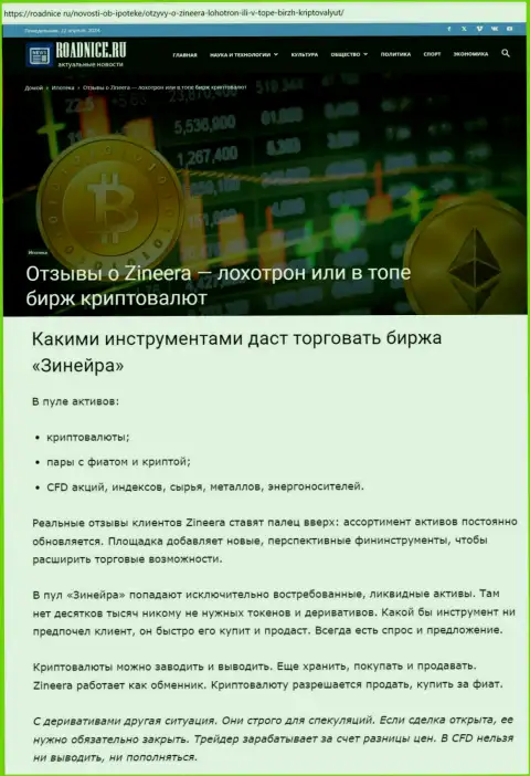 Анализ инструментов для спекулирования брокерской организации Зиннейра Эксчендж на интернет-портале roadnice ru