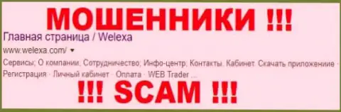 Welex Analytics - это ВОРЫ !!! SCAM !!!